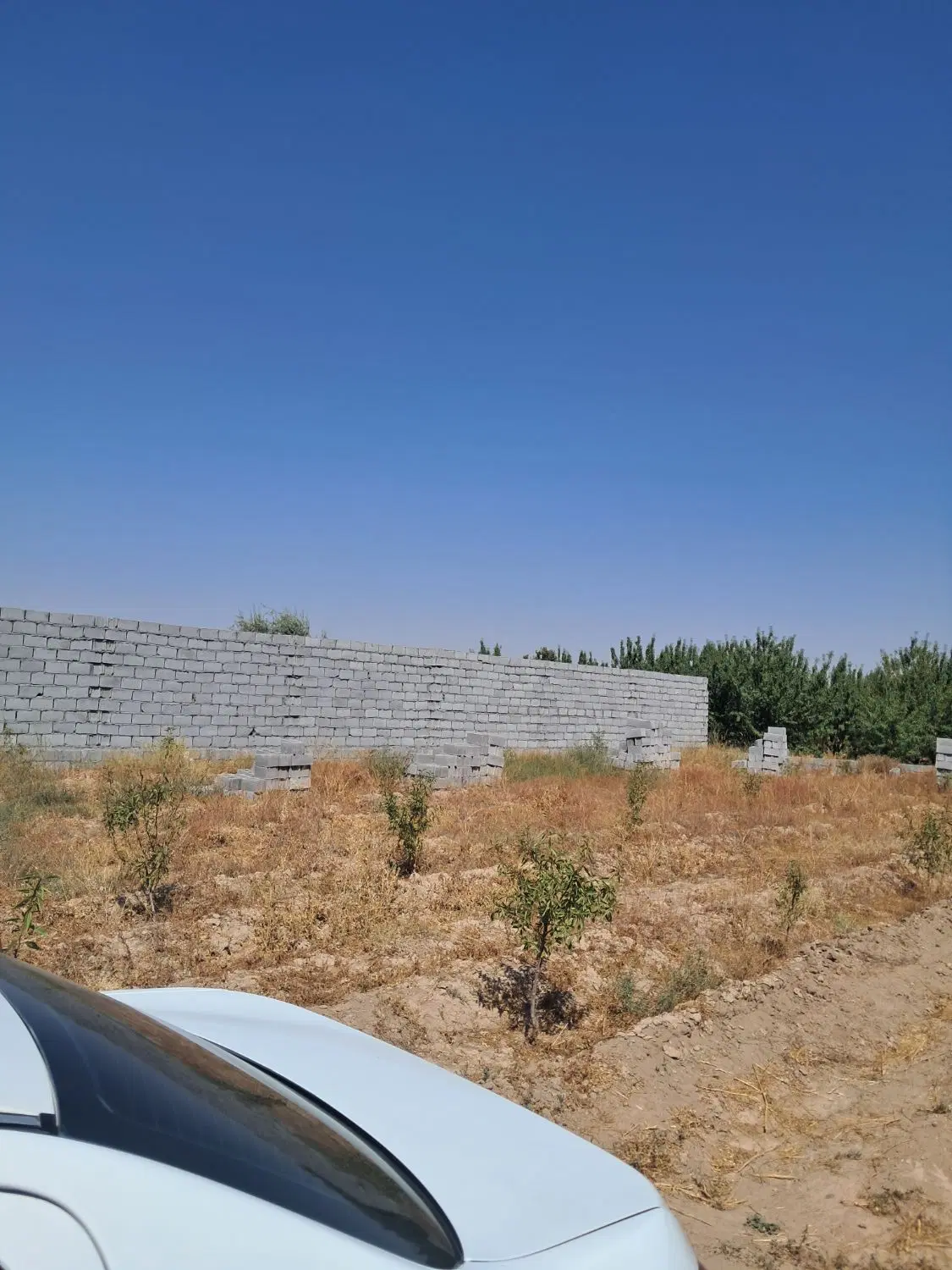 فروش زمین ۴۳۰کبکی