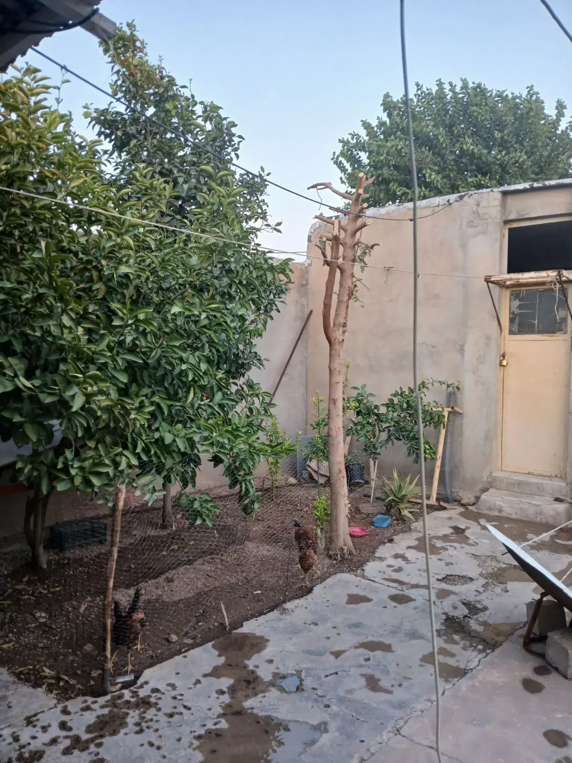 فروش  ورهن و اجاره منزل مسکونی