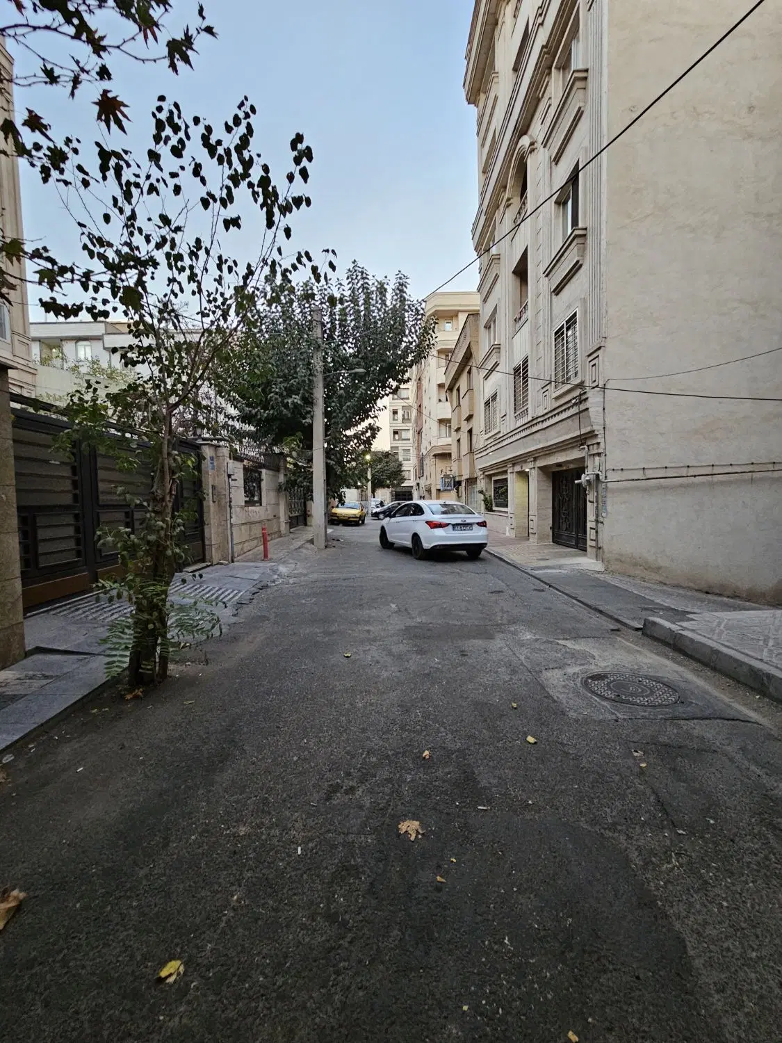 مهرآباد ۵۰ متر فول