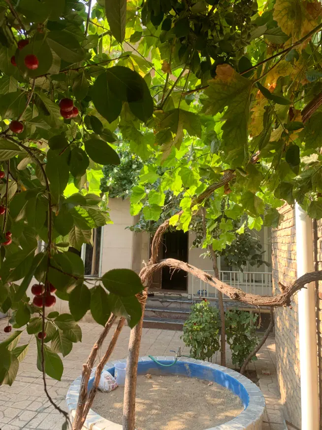 حیاط دل باز با موقعیت عالی برای سرمایه گذاری