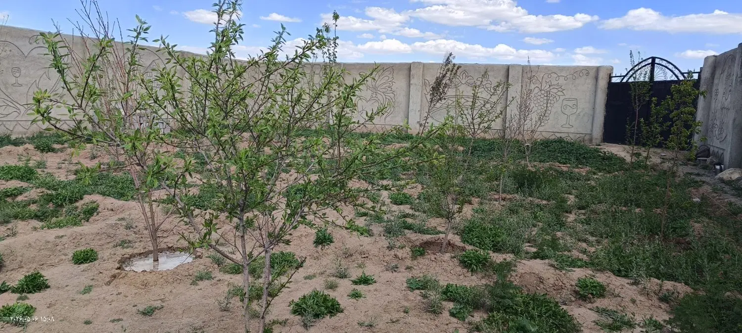 باغ در باغ معروف 620 متر برِ کوی آبرسان