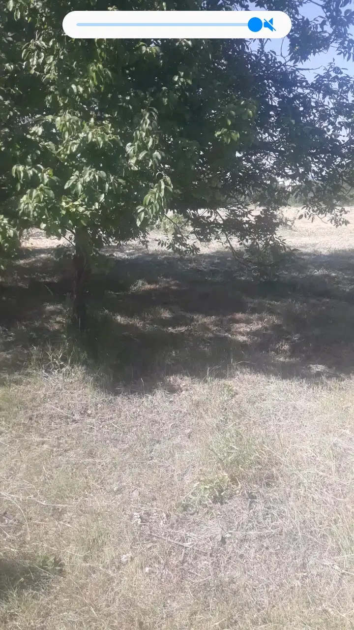 یک قطعه باغچه وزمین خالی