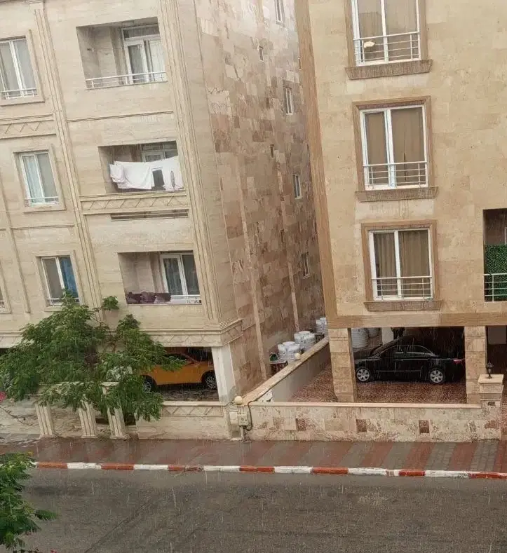 نیازمند همخونه