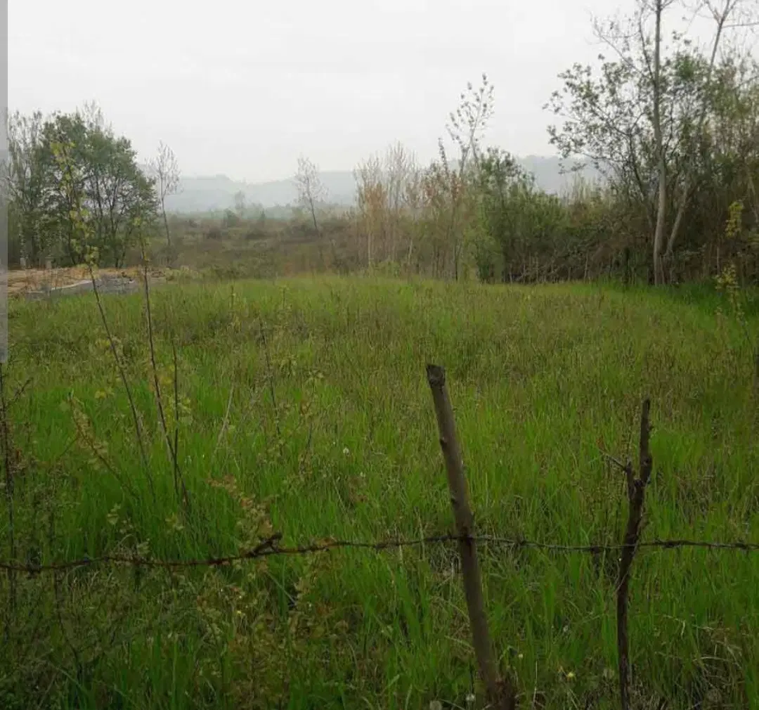 زمین باغی