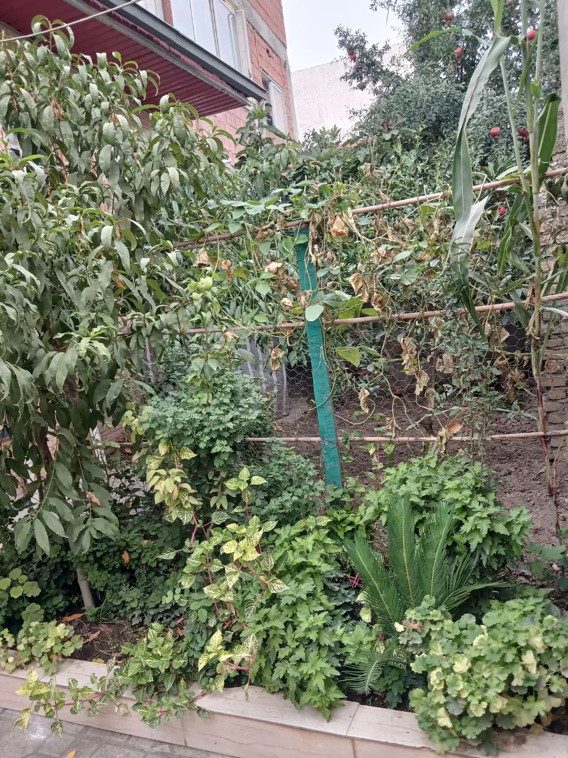 خونه ویلایی حاشیه شهر گرگان