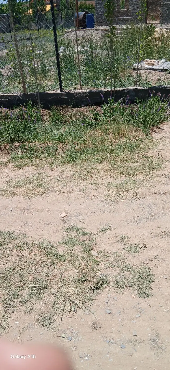 ۱۰۰۰ متر زمین باغی دوبر