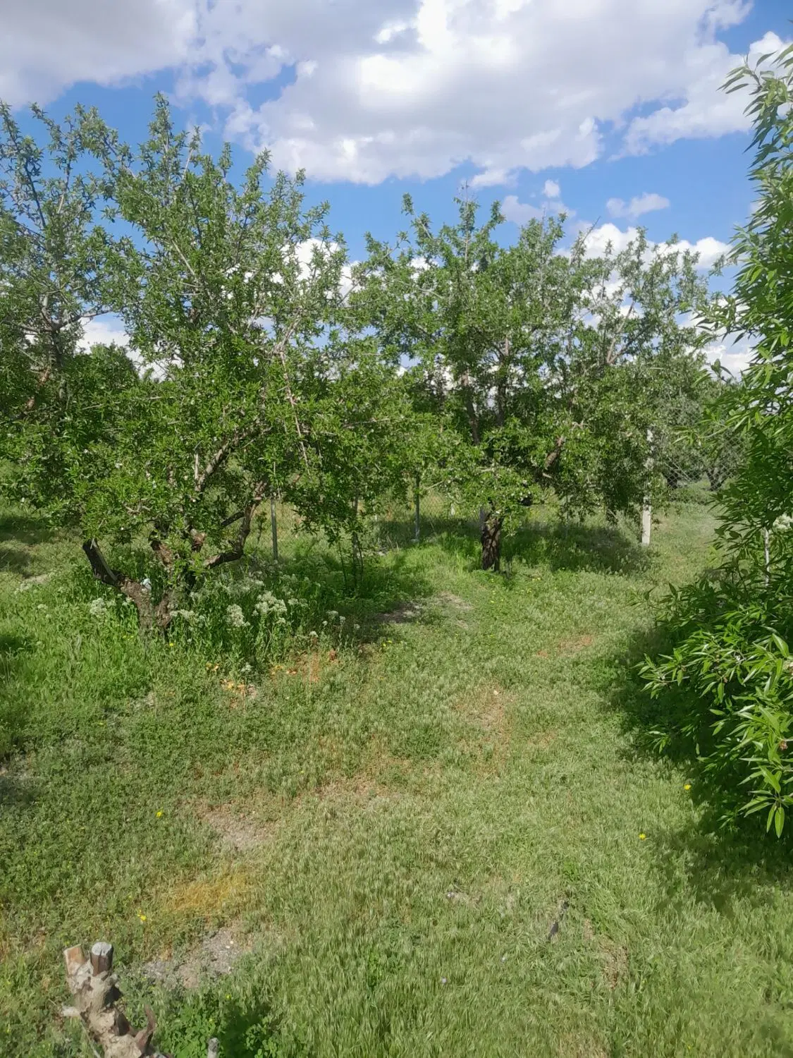 باغ ویلایی در شبستر