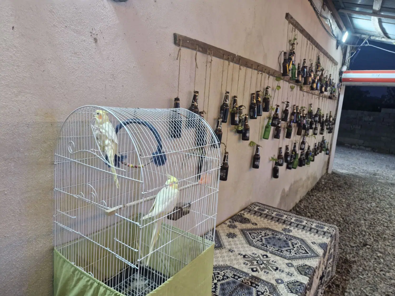 باغ الاچیق