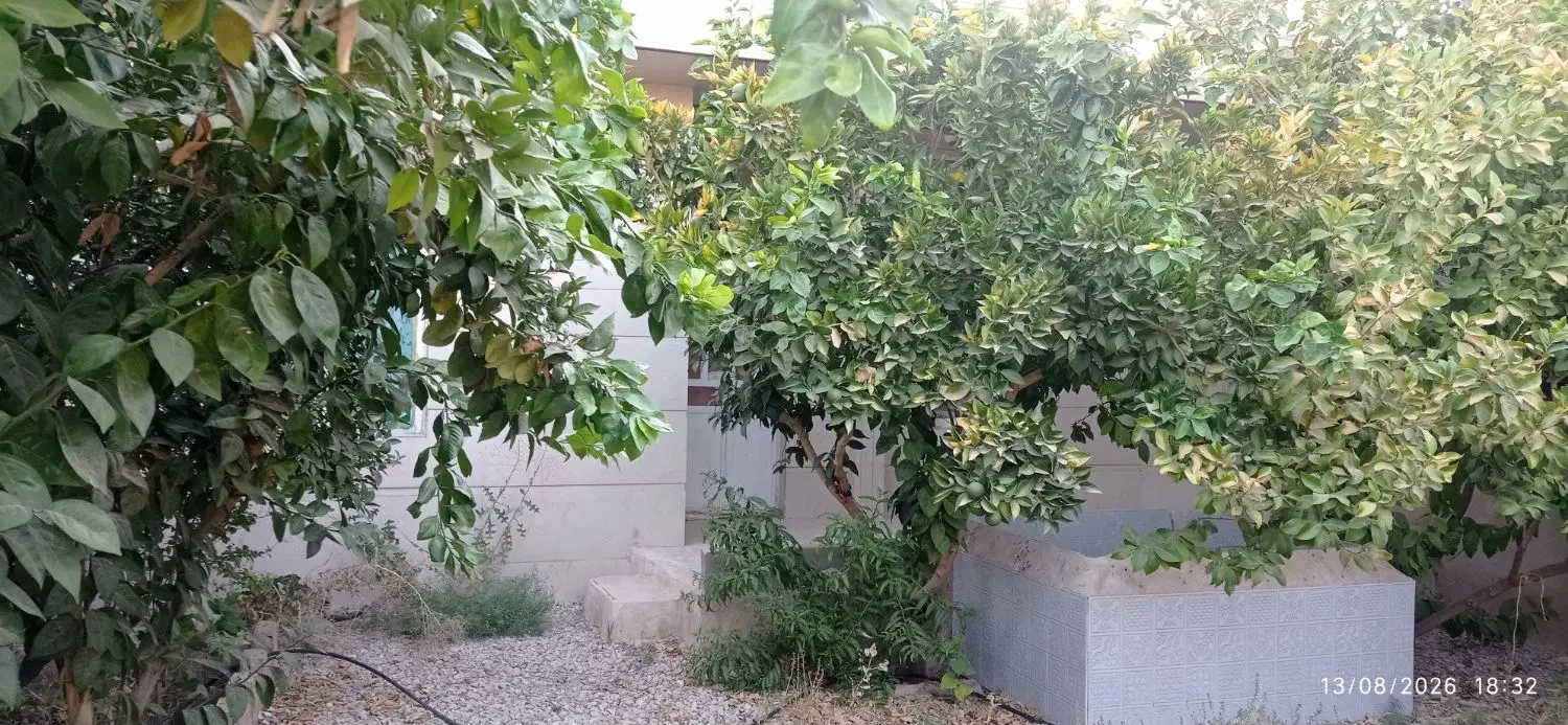 روستای لیزن 140 متر تک برگ سند
