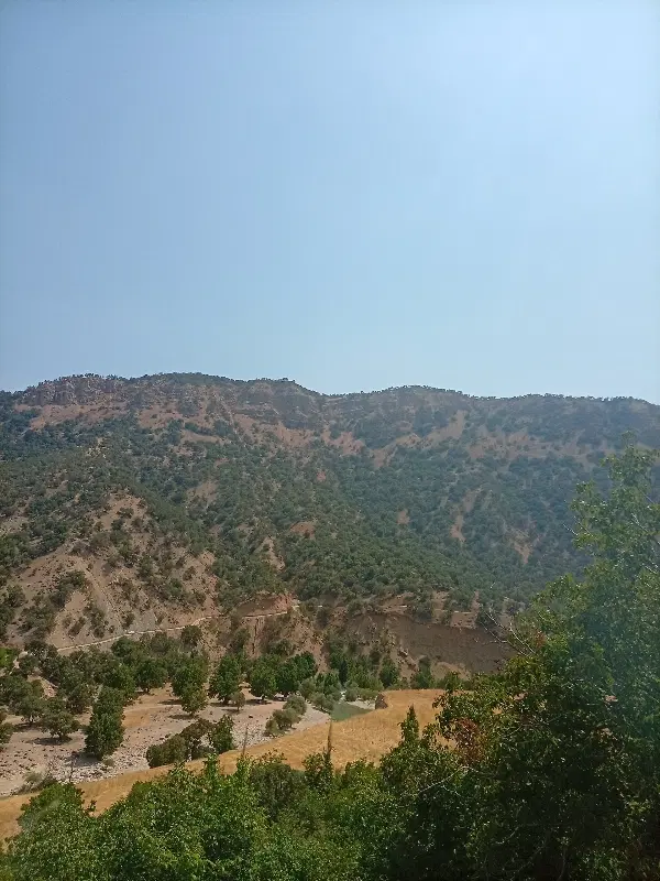 اجاره‌یافروش زمین  باویوابدی جهت آلاچیق و خونه‌باغ