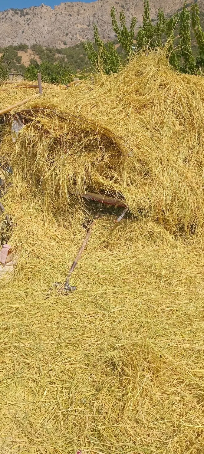 معاوضه زمین با پراید