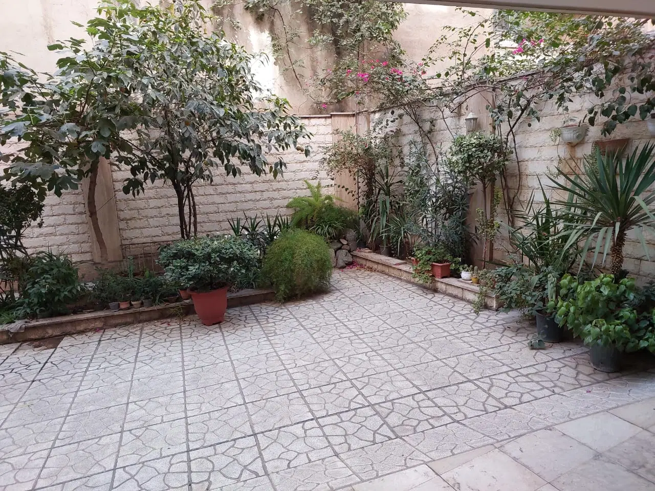 اجاره اپارتمان