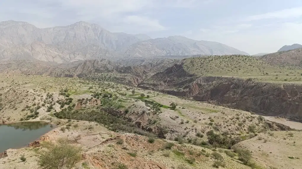 ۵۰ هکتار زمین مخصوص کشاورزی و مزرعه خورشیدی