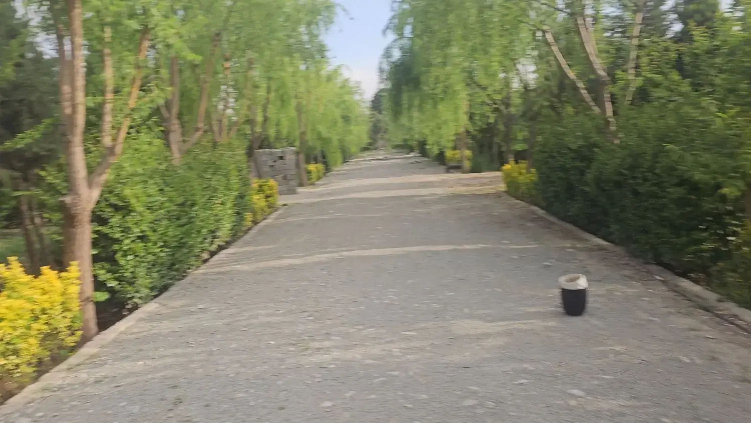 باغچه در فردیس