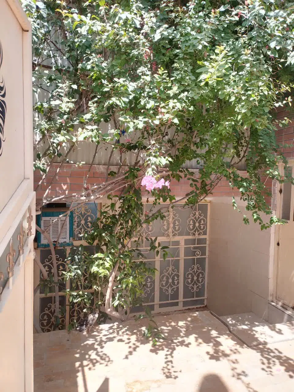 سوییت اجاره ای