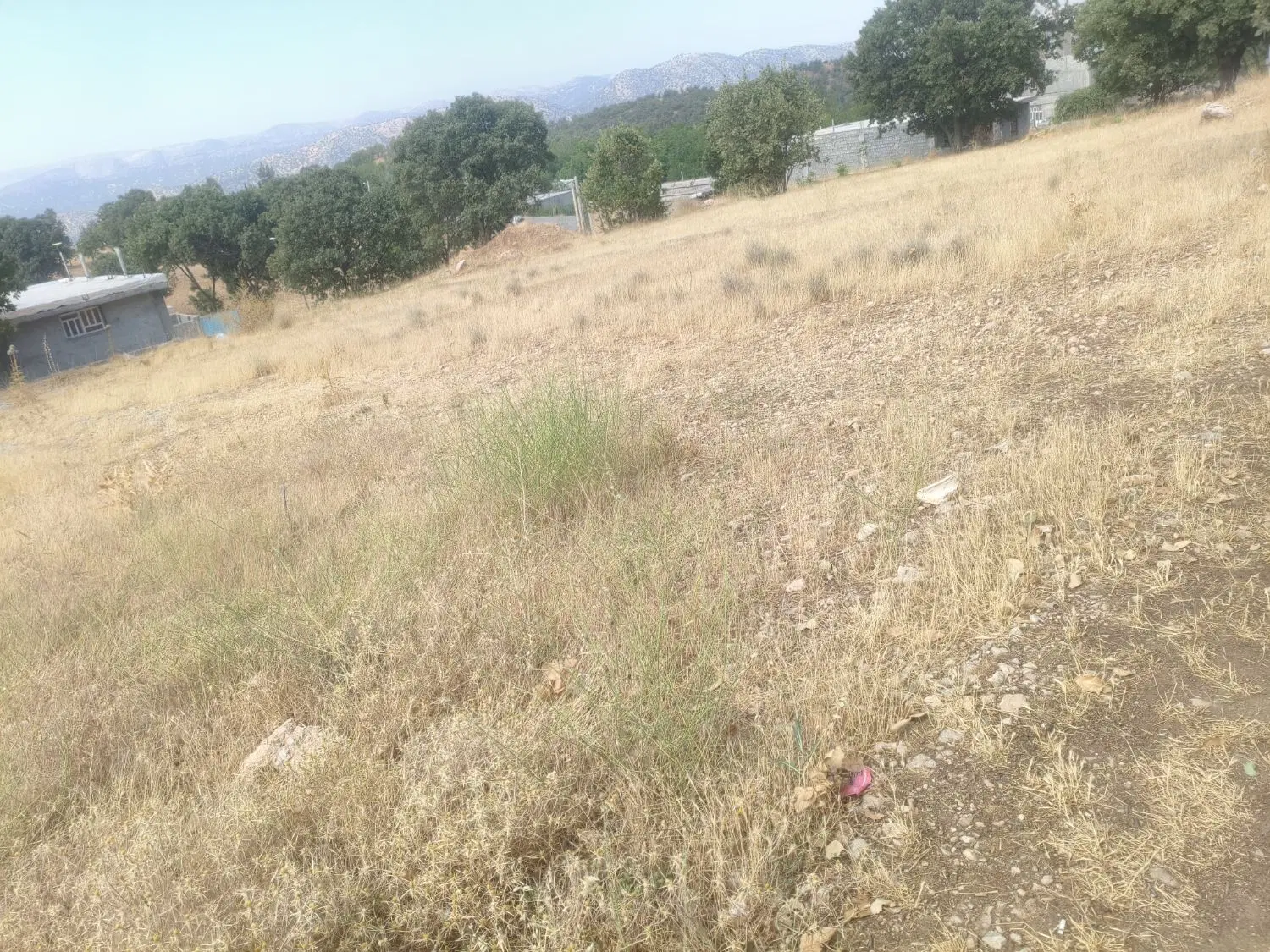 زمین در گنجه ای کهنه