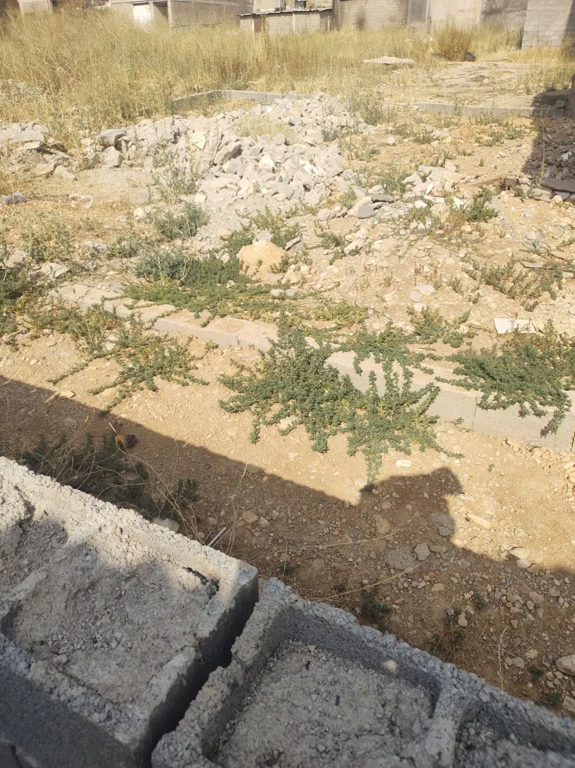 فروش زمین مسکونی