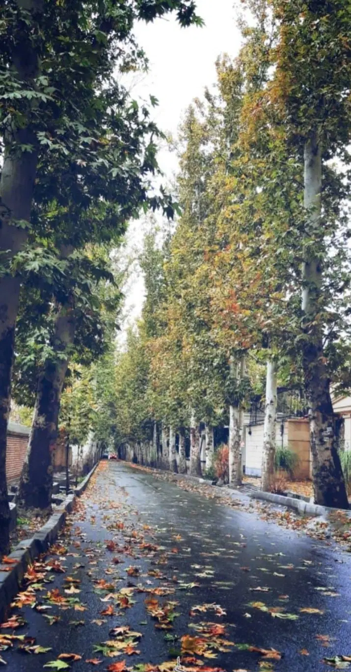۳۰۰ متر خانه ویلایی جنوبی ( ۳ طبقه ) استانداری
