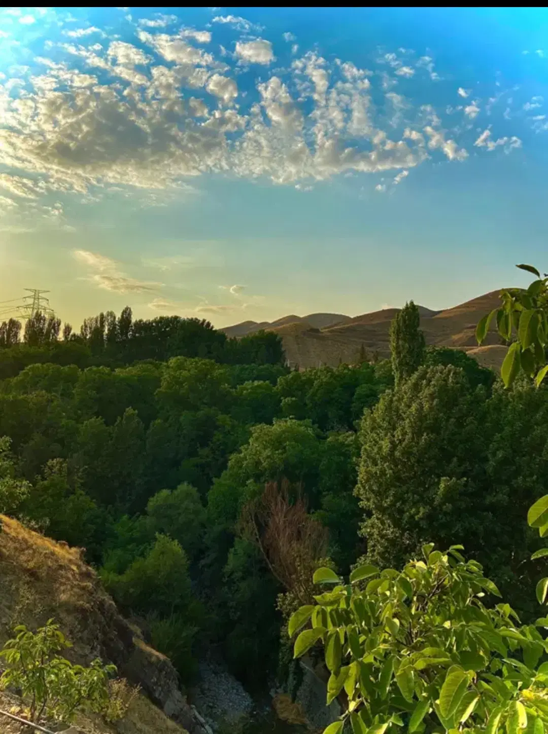 ۵۰۰۰ متر زمین مناسب ساخت دامداری مرغداری باغ و...