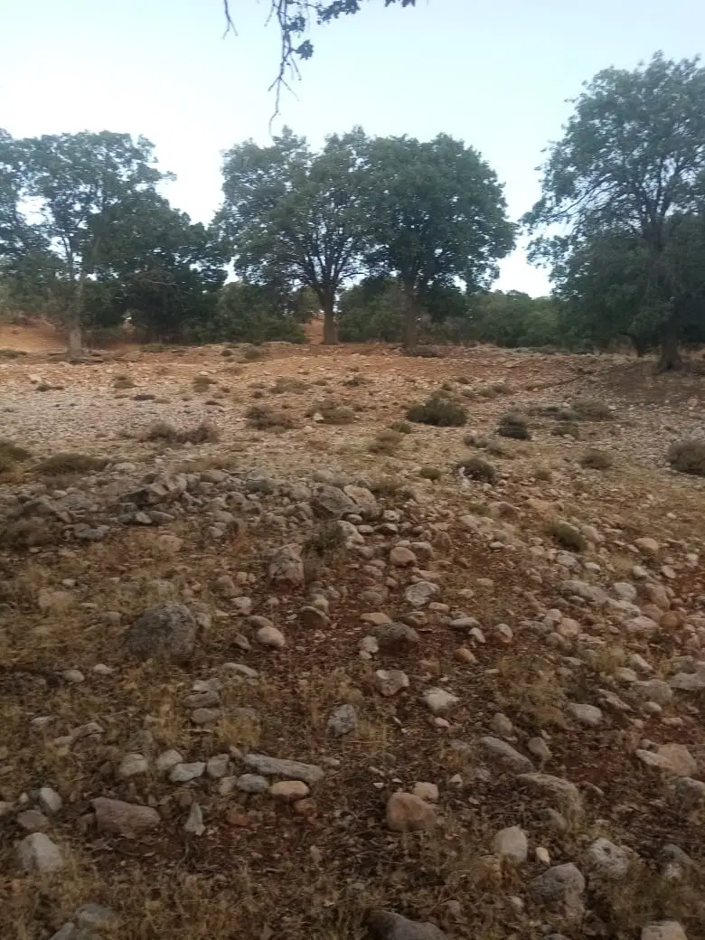 زمین صندوقی ۱۲۰متری