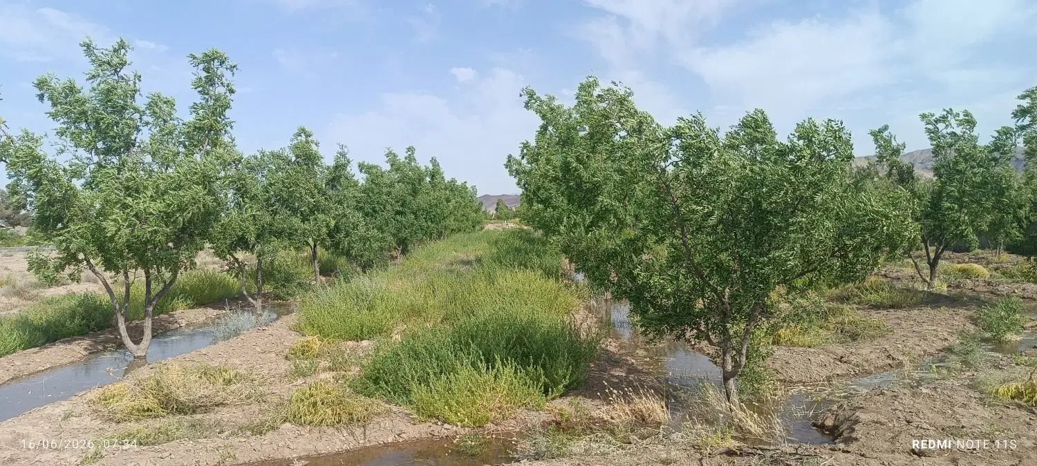 فروش‌باغ‌چاه‌زینی‌با‌متراژ‌دلخواه‌شما‌وآب‌وسند