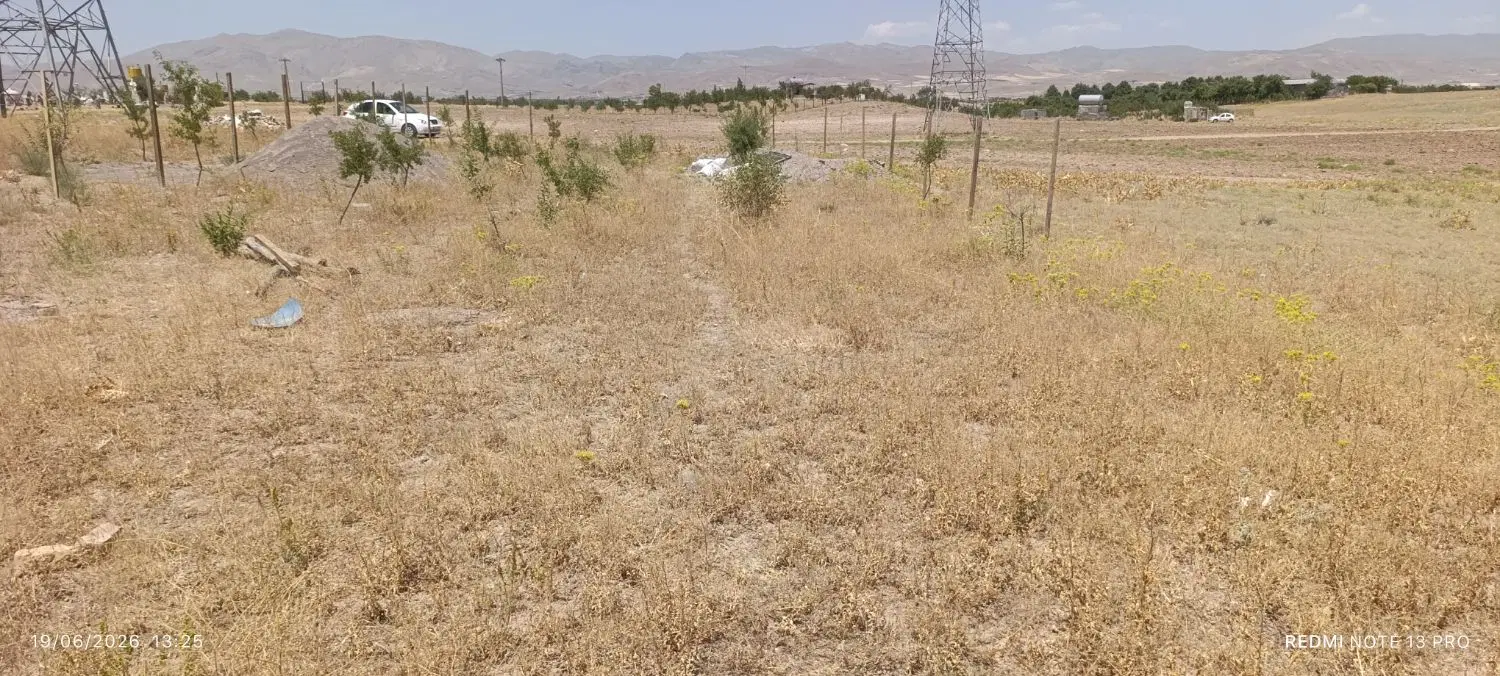 باغ ویلایی