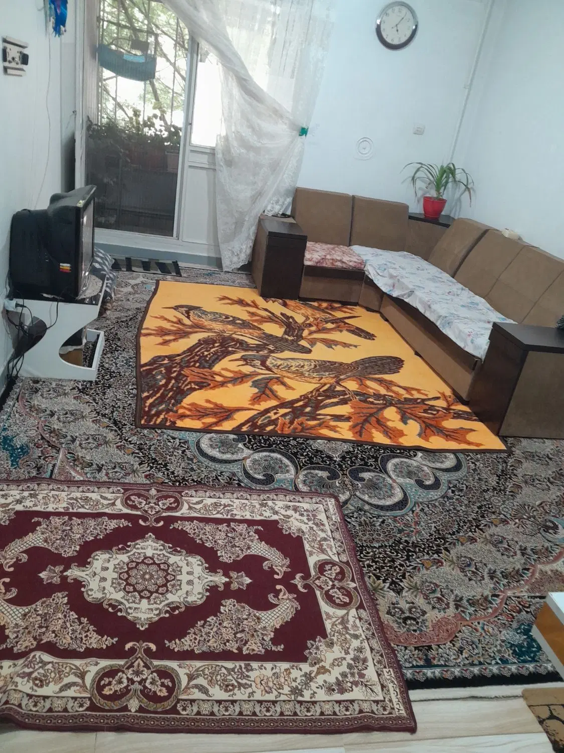 سوئیت تمیز روزانه