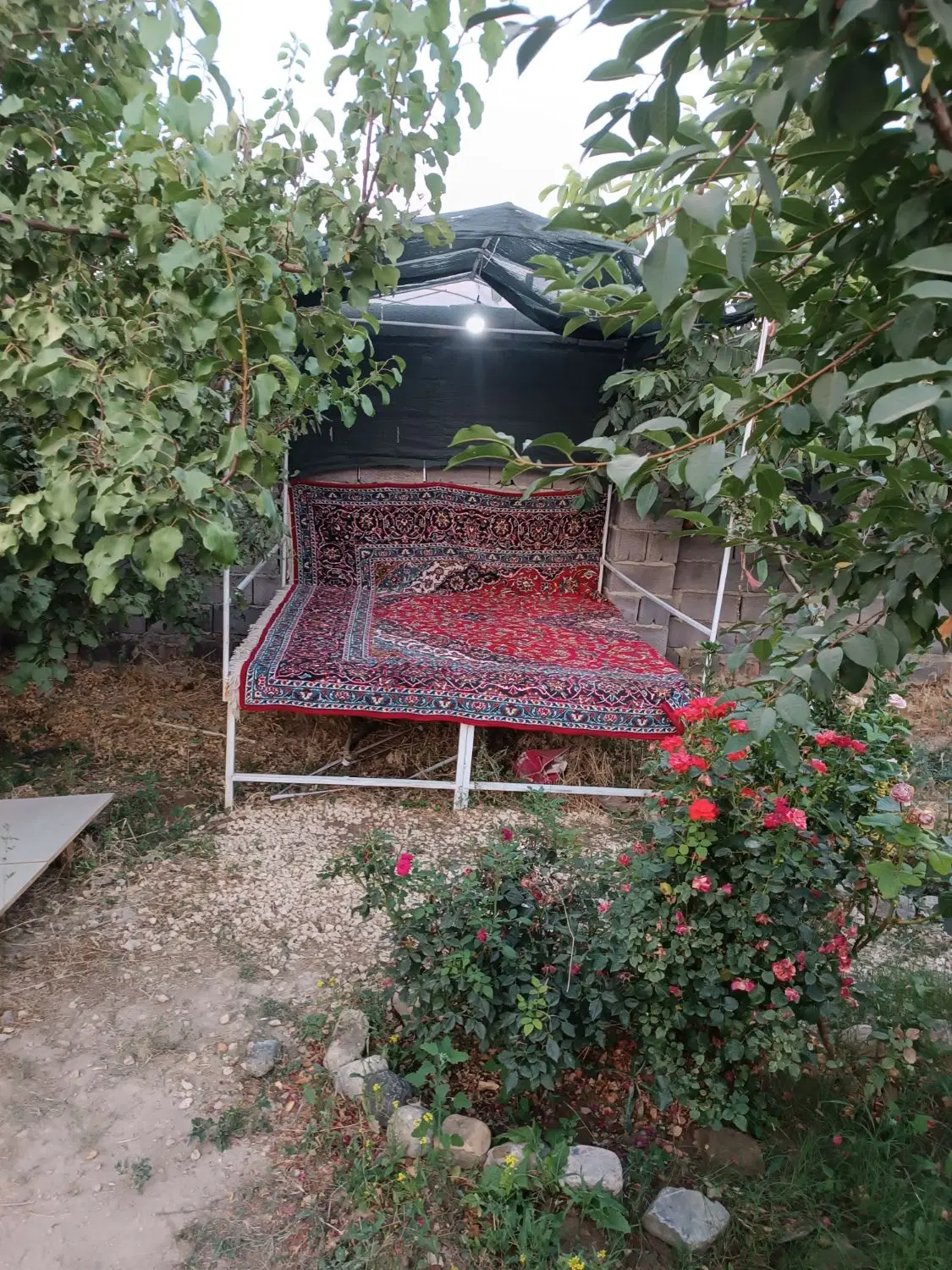باغ اجاره‌ای
