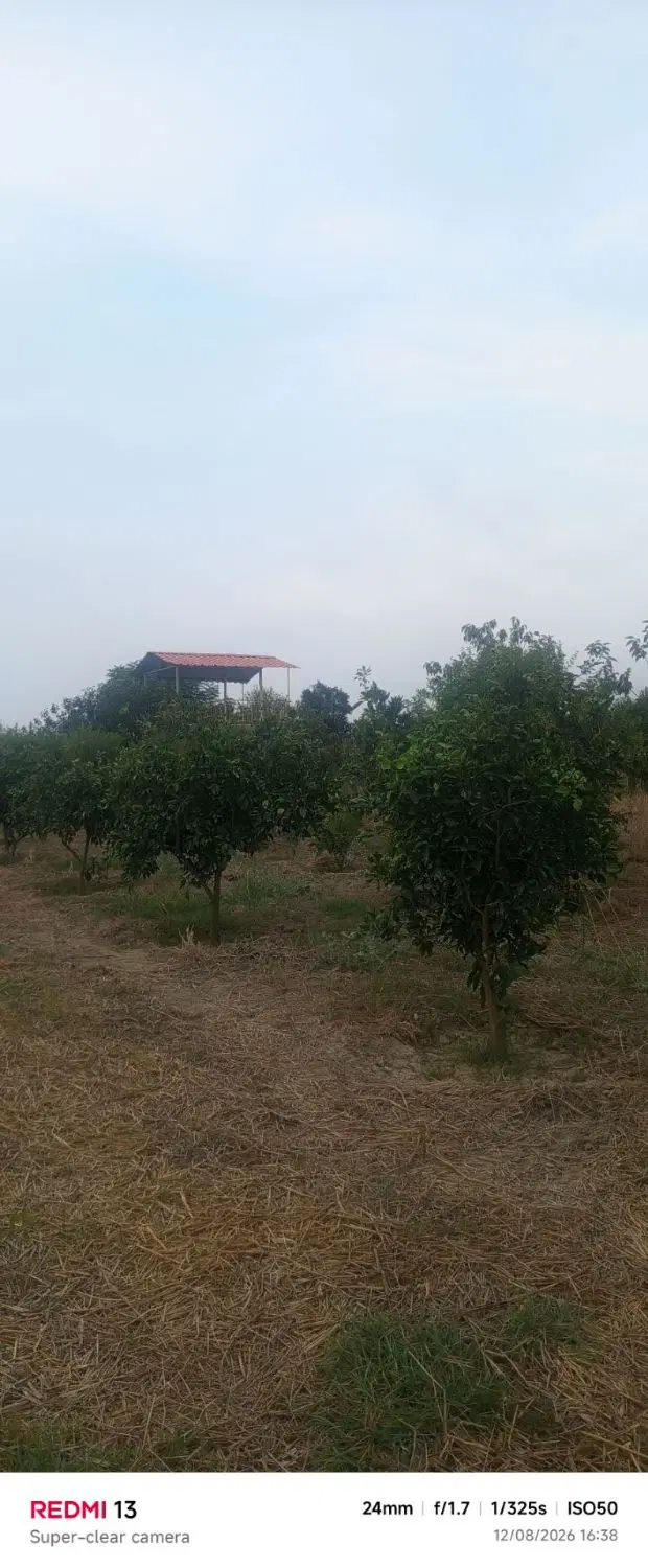 فروش باغ