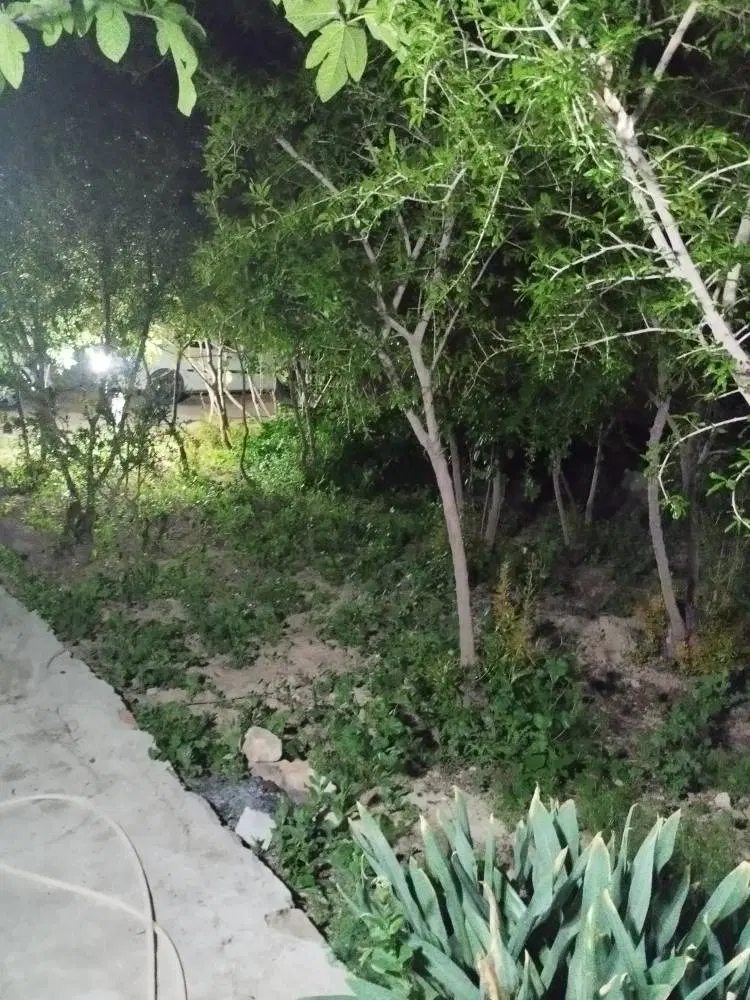 اجاره خونه باغ