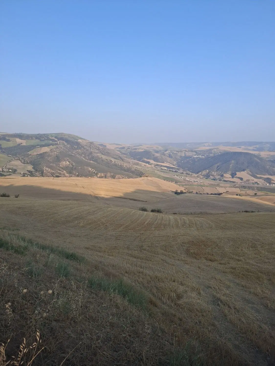زمین فروشی
