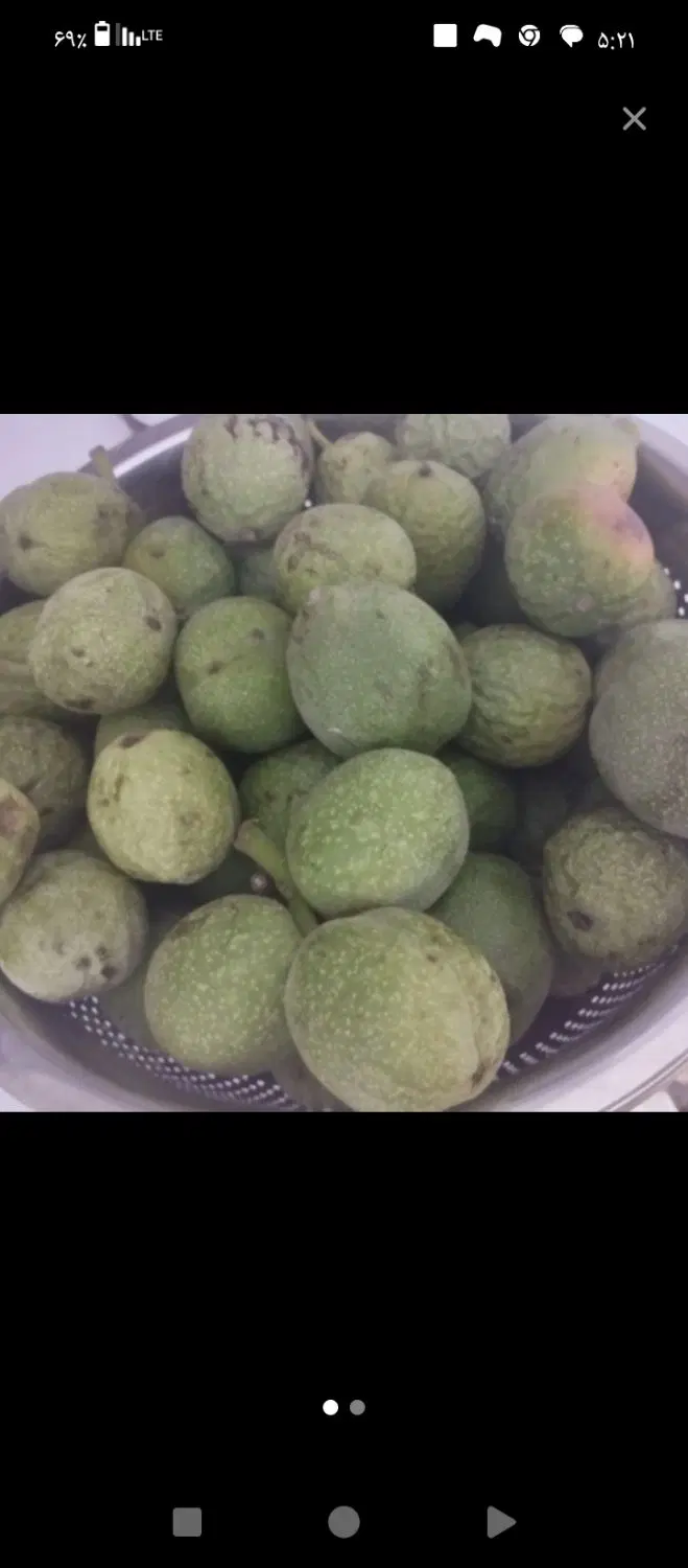اجاه باغ گردووبرداشت آن بصورت شراکتی
