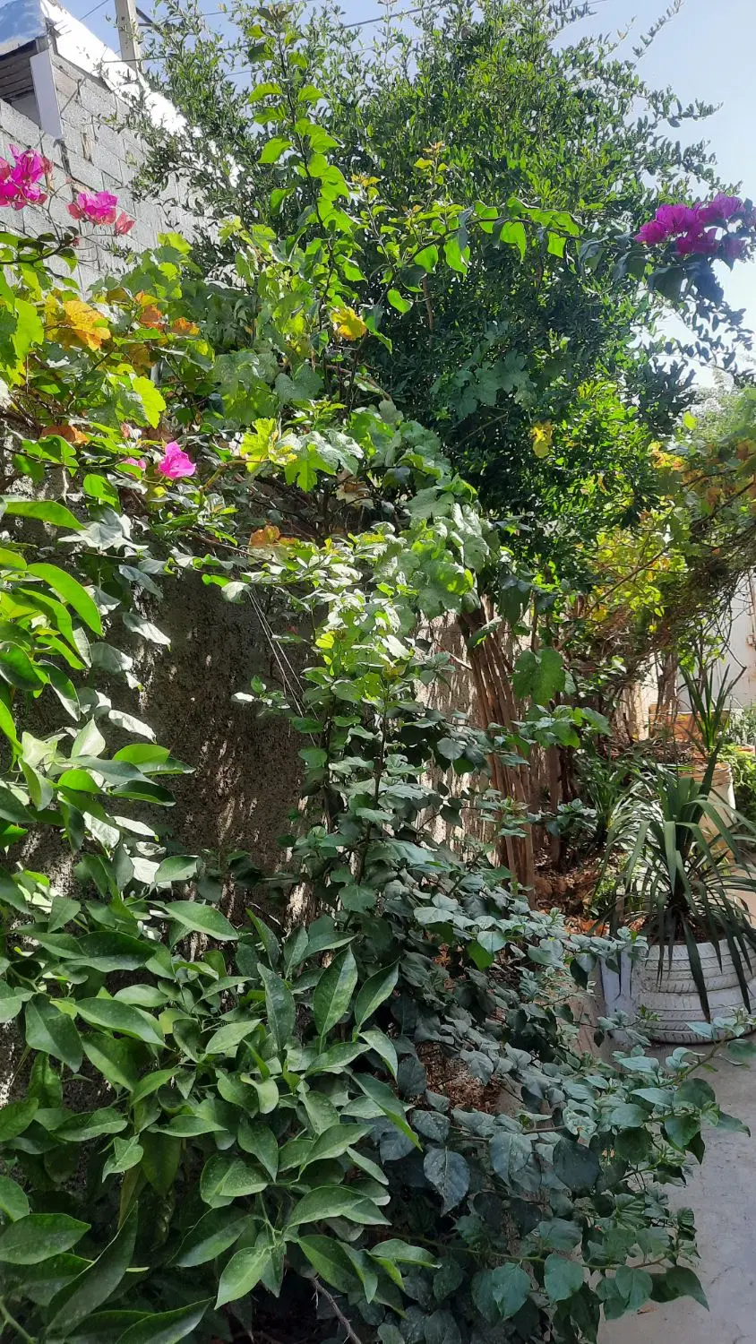 اجاره منزل کوتاه مدت