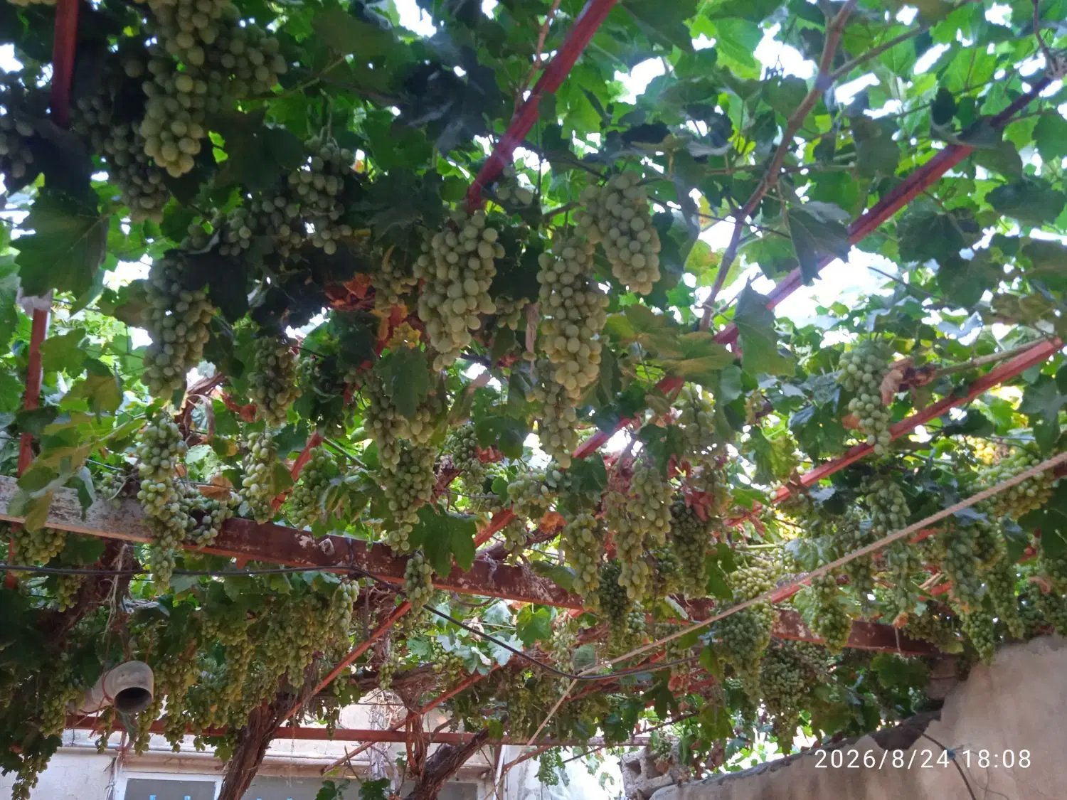منزل مسکونی واقع در روستای ترکمان