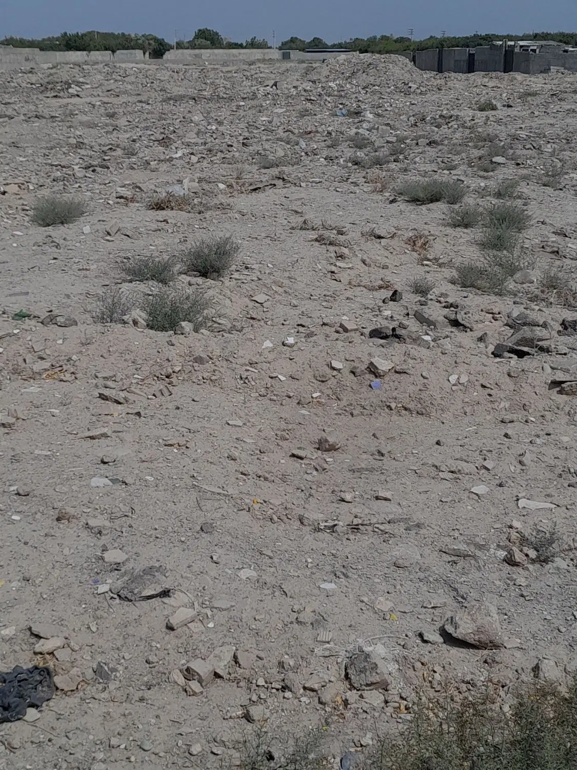 فروش زمین باغی چهار دیواری