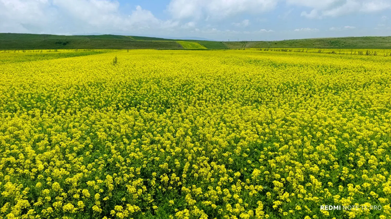 زمین کشاورزی دارای آب روستای نمین