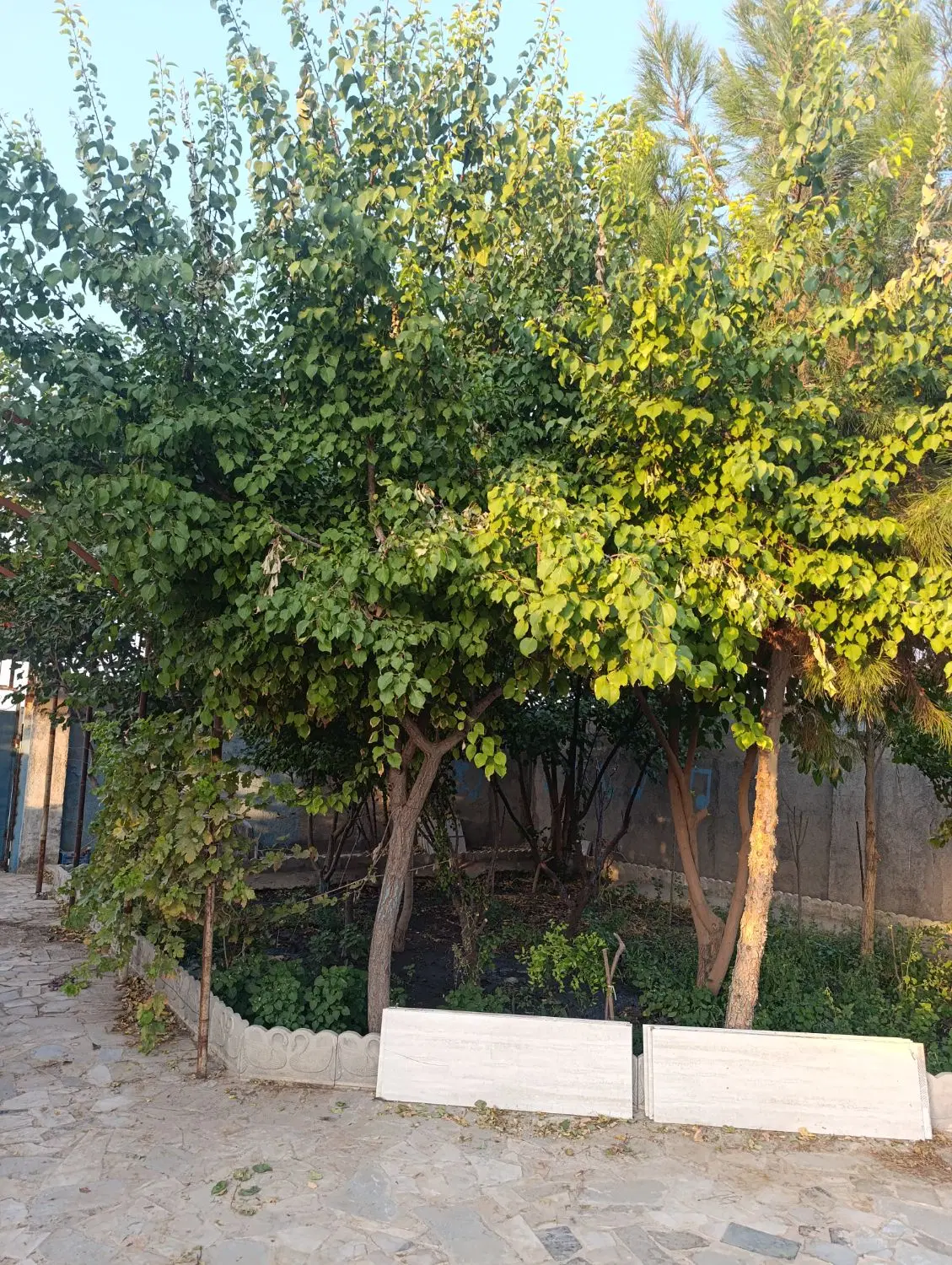 زمین در محدوده الماس شرق شهرک امام حسین اسماعیل اب
