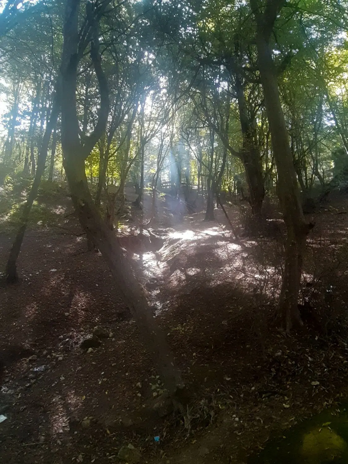 زمین باغ گلدشت استانداری