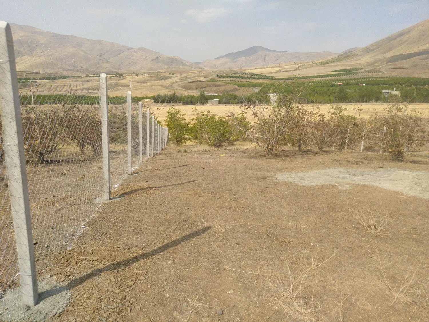زمین باغ