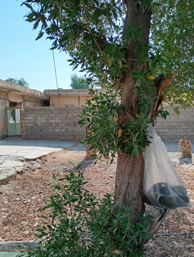 خانه کلنگی
