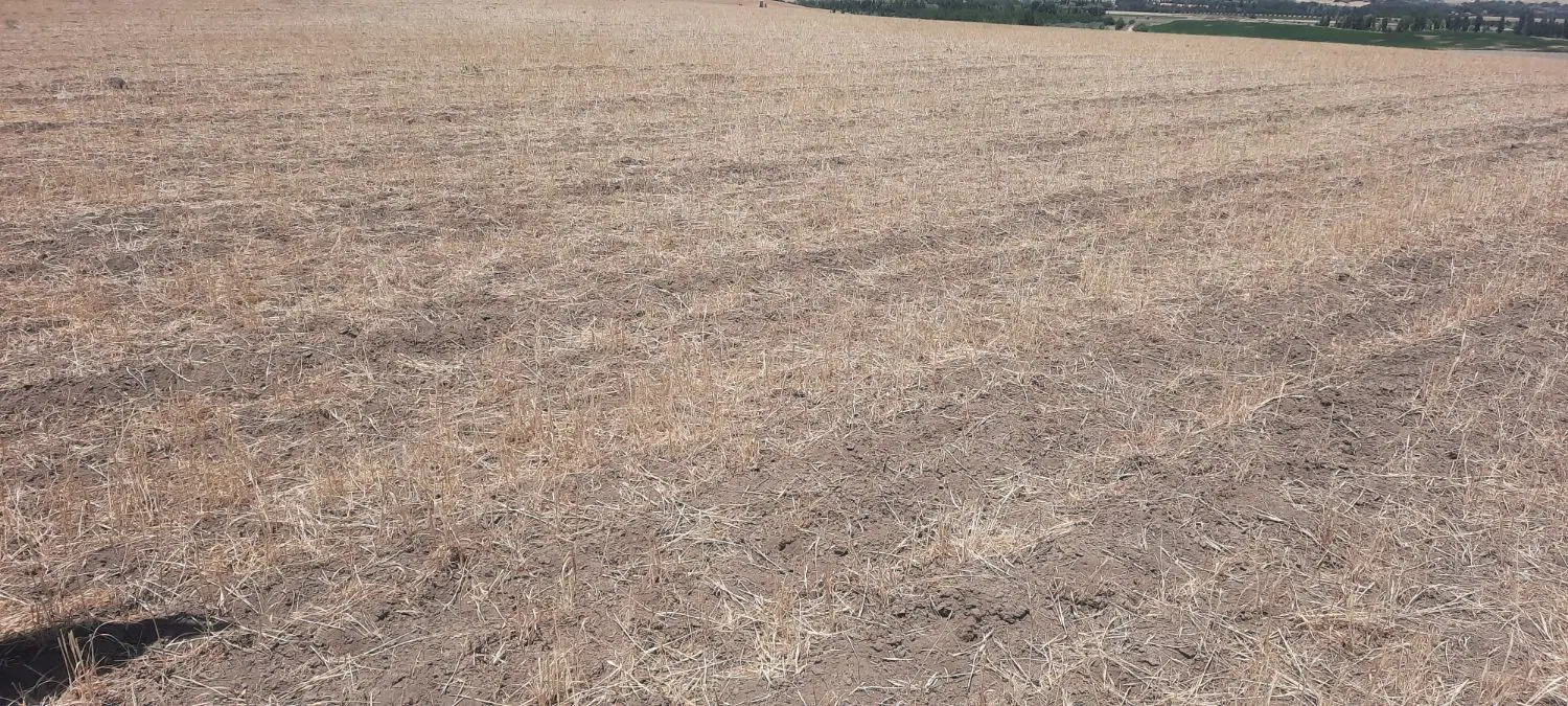 زمین کشاورزی مرغوب به کارشناسی خودتون