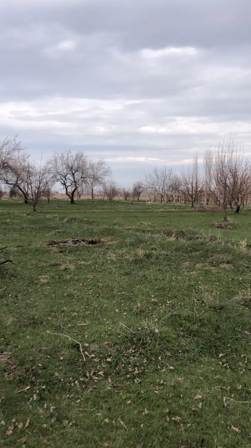 باغچه در جاده مهاباد روستای عربلو جیرانلار