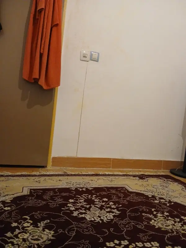 همخونه