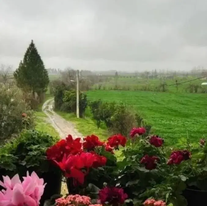 زمین مسکونی کلاجان سادات