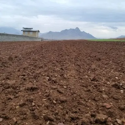 زمین ناوقلا در روستای دوستوند