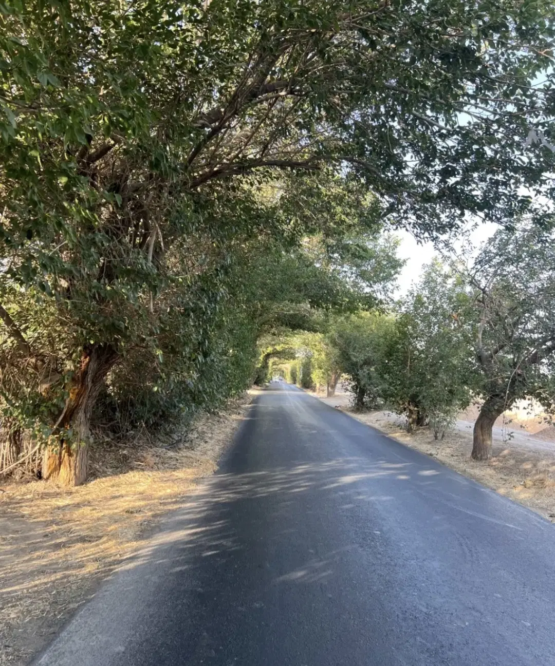 هزارمترزمین سند دار  با درخت. چاه .سهمیه آب