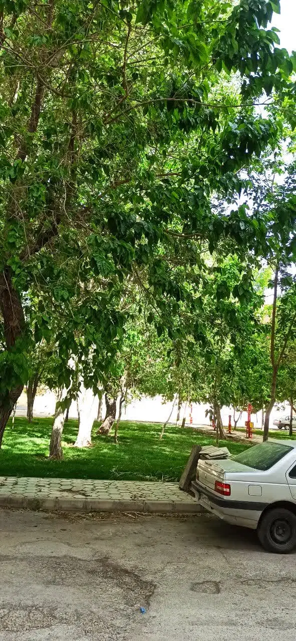 اجاره مسکونی