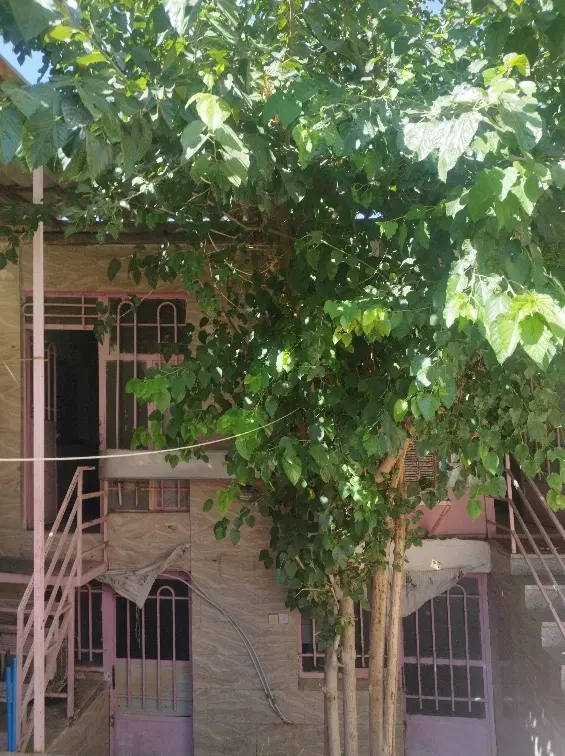 سوئیت منزل