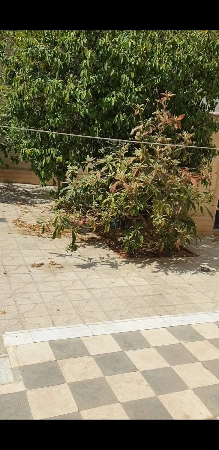 فروش منزل ۲۶۲ متر شهرک جانبازان ( پشت باغ جنت)