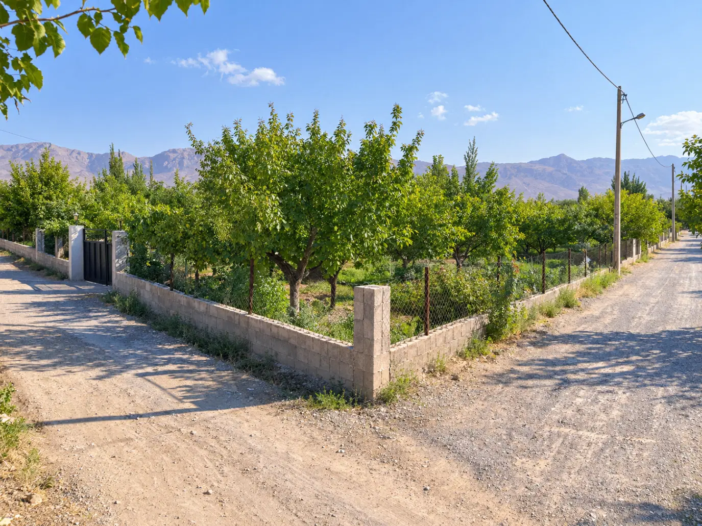 فروش زمین باغی ۵۰۰ متری